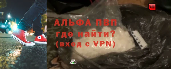 прущие грибы Инсар