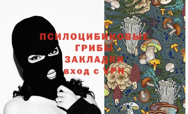 прущие крисы Инта