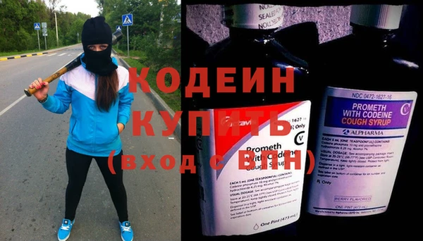 прущие крисы Инта