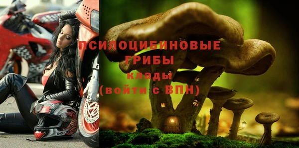 прущие грибы Инсар