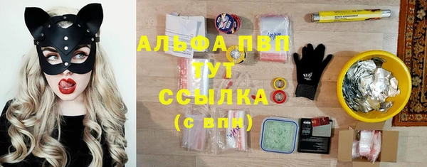 прущие крисы Инта