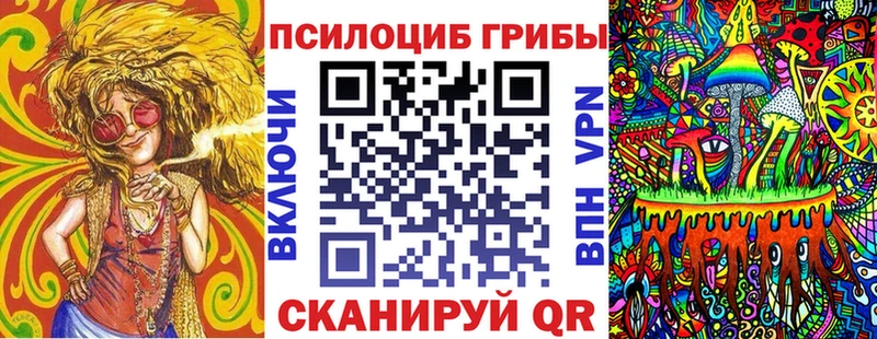 Купить закладки  Дно  Псилоцибиновые грибы MAGIC MUSHROOMS 
